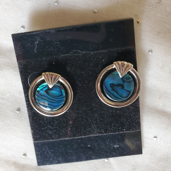 None Jewelry - Abalone earrings, silver metal, for pierced ears
